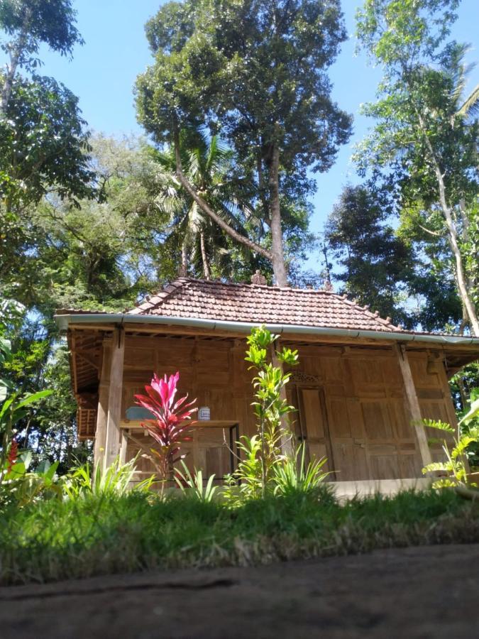 Hotel Omah Kayu Jagalan Magelang Exterior foto